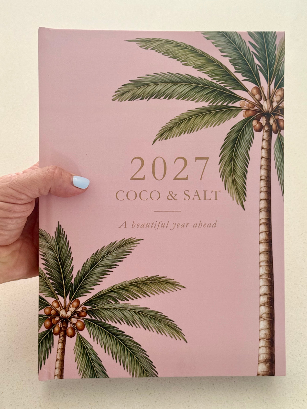 2027 Diary - pink