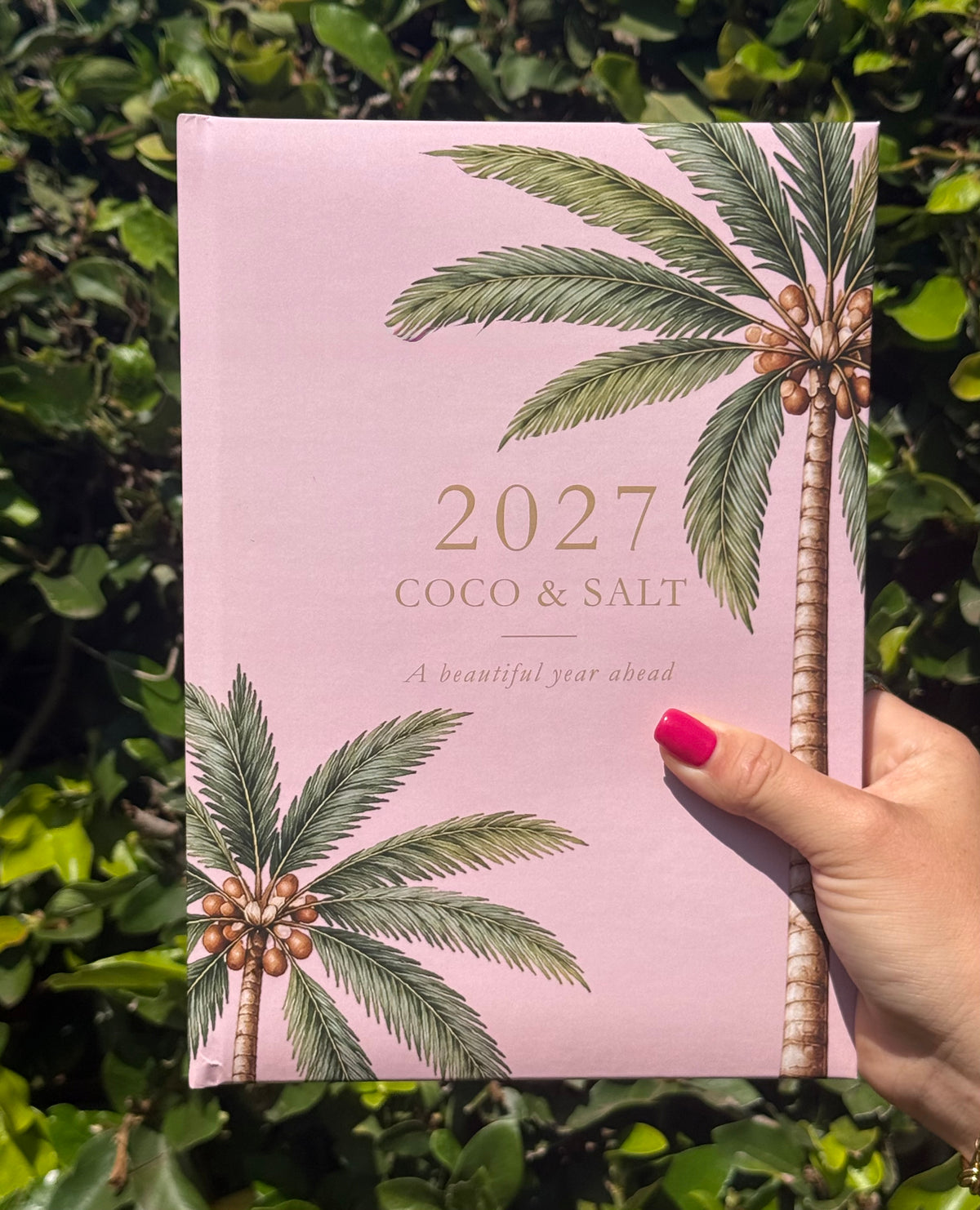 2027 Diary - pink